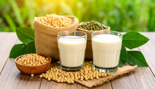 Ist Soja ungesund? Phytoöstrogene und die angeblich hormonelle Wirkung