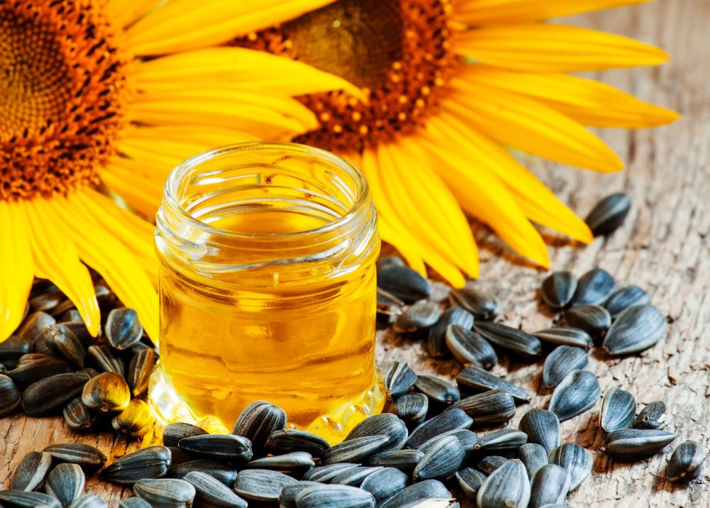 Flüssiges Sonnenblumenlecithin mit Sonnenblumen und Sonnenblumenkernen