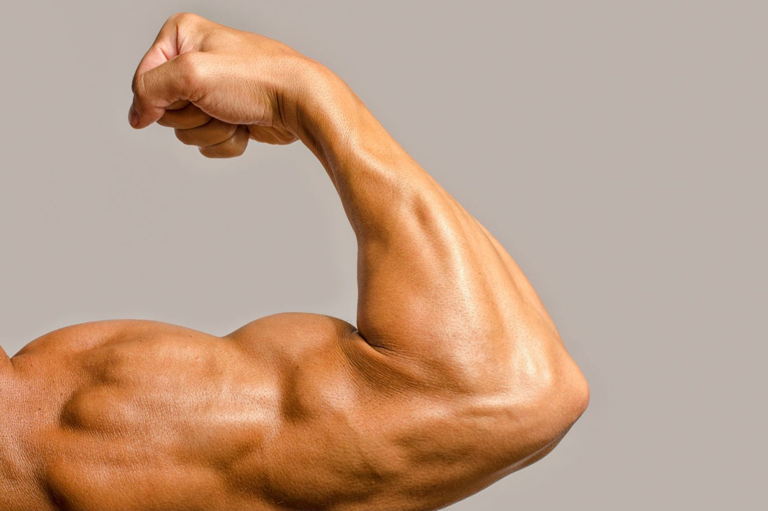 Wie du gesund und erfolgreich Muskeln aufbaust