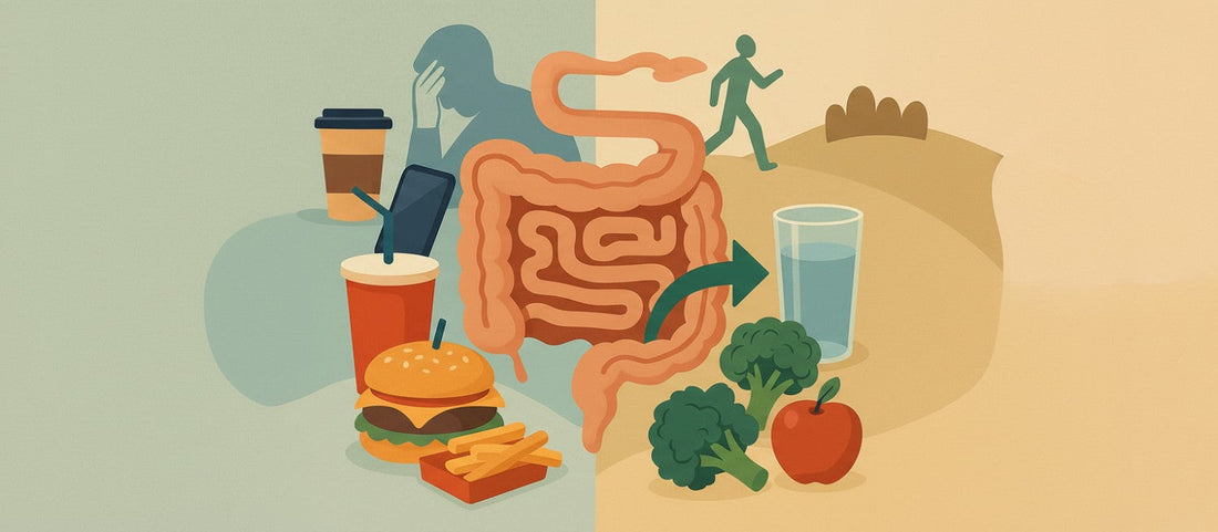 Was ist Leaky Gut? Alles, was du wissen musst!
