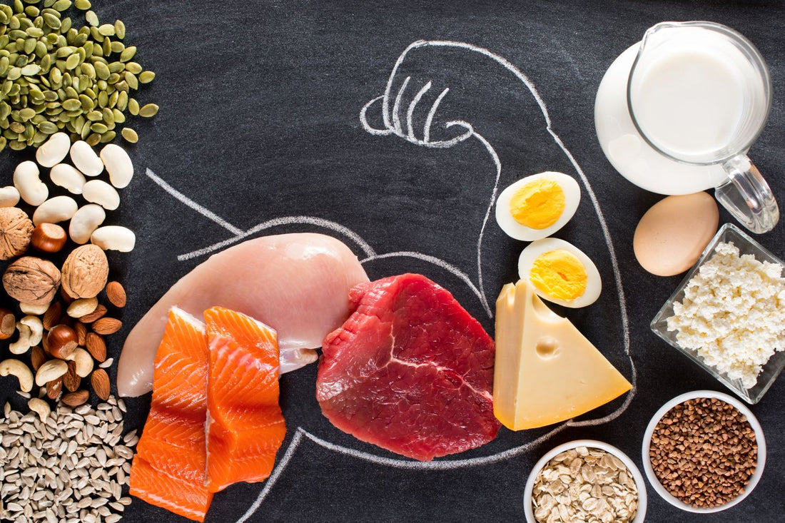 Proteine sind nicht gleich Proteine: Aminosäuren und BCAAs erklärt